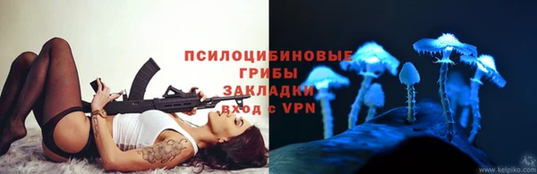 амф Касимов