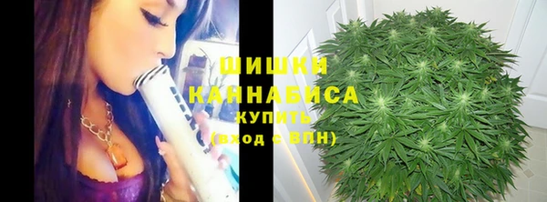 амф Касимов